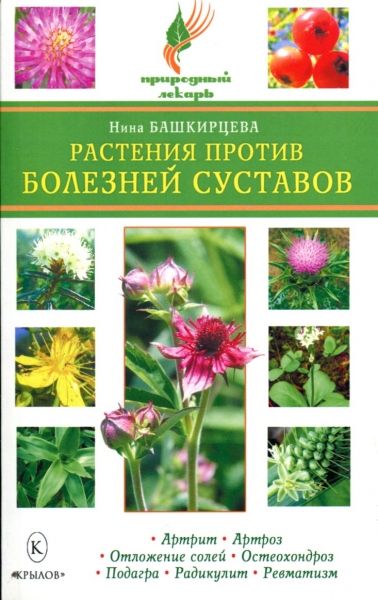 Растение от болезней суставов Растение от болезней суставов