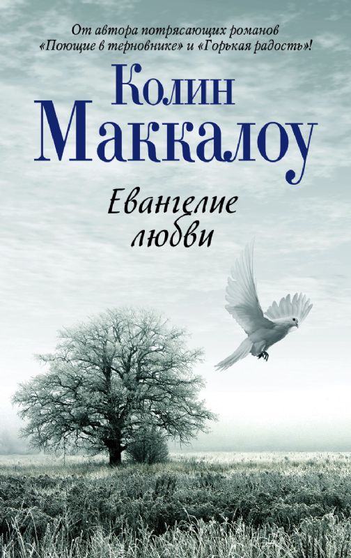 книга Евангелие любви
